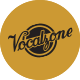 Use Vocalzone as part of a combination of the above