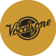 Use Vocalzone as part of a combination of the above