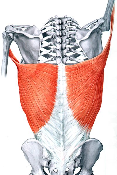 Vocalzone-Vocal-Techniques-Lat-Extension