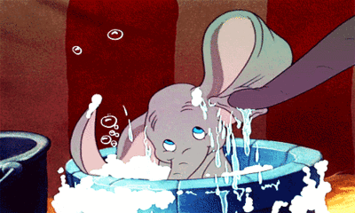 dumbo dumbo