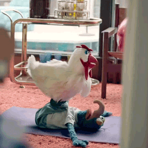 yoga yoga