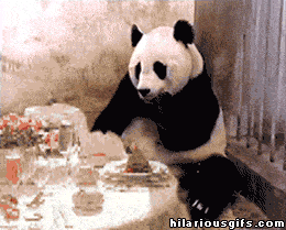 panda panda