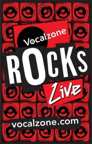 teddy-rocks-side-banner