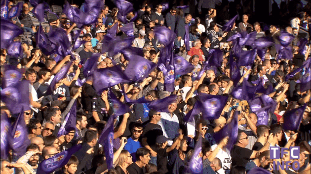 stadium_Vocalzone stadium_Vocalzone
