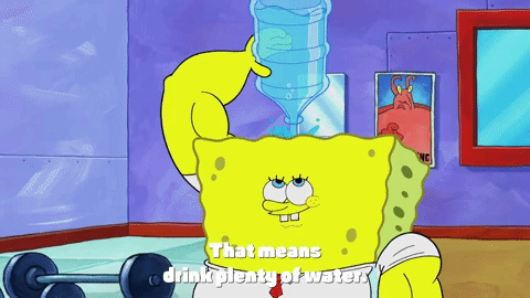 sponge_vocalzone sponge_vocalzone