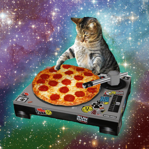 cat-dj-vocalzone cat_dj_vocalzone