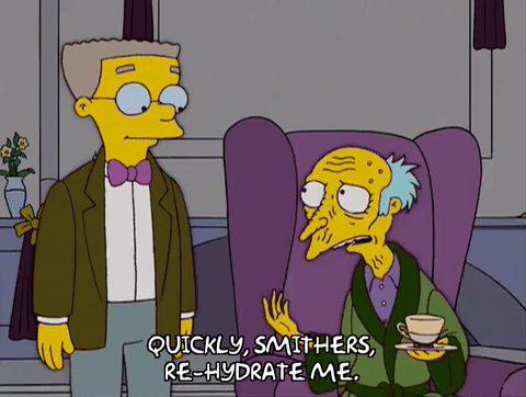 simpsons vocalzone vocalzone hydration
