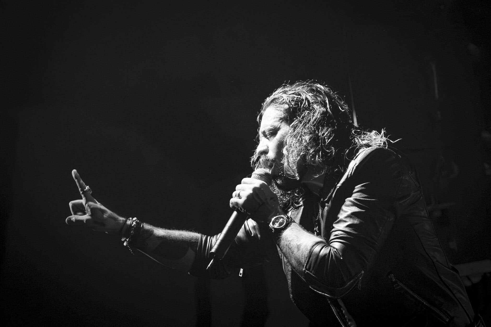 Ronnie Romero, Vocalzone Endorsed Artist